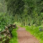 Die Fennpromenade wurde 1898 eröffnet