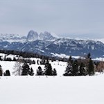 Vor uns erheben sich der Sellastock, der Lang- und Plattkofel