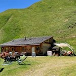 Tschiffernaun Alm Vals