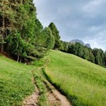 Auch der Rückweg führt durch malerische Wiesen