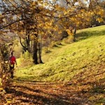 Der Sunnseitenweg führt nach St. Peter in Villnöss zurück