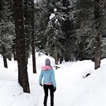 Abstieg von der Ochsenalm