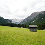 Durch blumenfrohe Wiesen in Richtung Putzalm