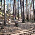 In Laranz "wachsen" überdimensional große Fliegenpilze...