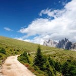Il sentiero panoramico si snoda dolcemente attraverso l'incantevole paesaggio alpino