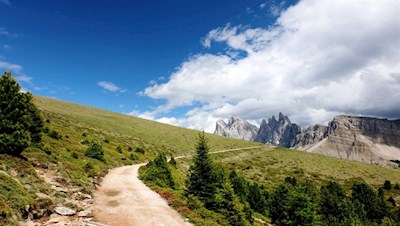 Il sentiero panoramico si snoda dolcemente attraverso l'incantevole paesaggio alpino
