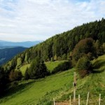 Durch Wiesen und Wälder zum Gipfelkreuz der Außerraschötz
