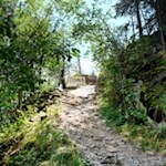 Unser Weg führt durch kleine Waldstücke