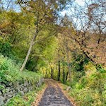 Herbstwanderung im unteren Eisacktal