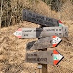 Der Wanderweg zum Braunhof ist bestens ausgeschildert