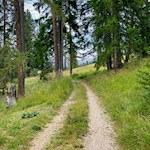 Kurze Wanderung zur Frommeralm