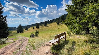 Aussichtsbank auf dem Weg zur Isi Hütte