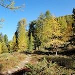 Durch herbstbunte Wälder auf das Hochfeld