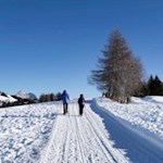 Durch den knirschenden Schnee zur Rauchhütte