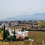 Die zahlreichen Reben um Bozen tragen bereits ihr farbenfrohes Herbstkleid