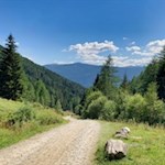 Der breite, sanft ansteigende Weg ist auch für den Kinderwagen geeignet