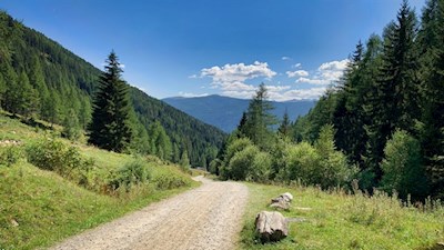 Der breite, sanft ansteigende Weg ist auch für den Kinderwagen geeignet