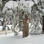 Kurz vor dem Platschjoch überquert man die Jaufenstraße