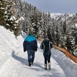 Im sanften Anstieg zur Moarhofalm