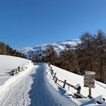 Bilderbuchidylle nahe der Kreuzwiesenalm