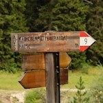 Der Weg Nr. 9 führt auf den 1.869 m hohen Halsl