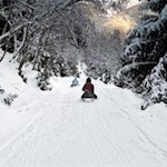 Rodeln von der Aschtalm