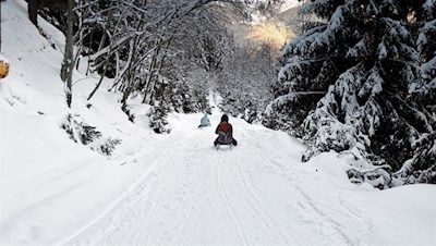Rodeln von der Aschtalm