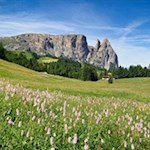 Im Bann des Schlern zur Spitzbühlhütte