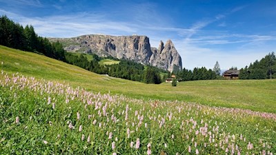 Im Bann des Schlern zur Spitzbühlhütte