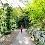 Gaulschlucht Lana wandern