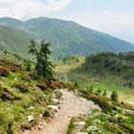 Der Anstieg zur Tiefrastenhütte ist von Alpenrosen umsäumt