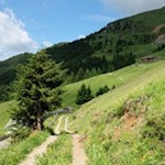 Auf dem sanft abfallenden Weg Nr. 6 zur Freundalm