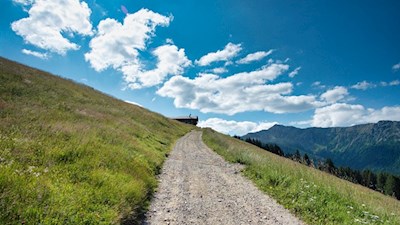Die Uwaldalm liegt inmitten sonnenbeschienener Almhänge