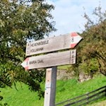 Auf dem Weg Nr. 8 nach Maria Saal