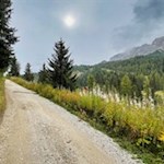 Vom Campolongopass führt ein breiter Wanderweg auf den Cherz