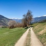 Die Wanderung zum Ansitz Fonteklaus führt durch aussichtsreiche Wiesen
