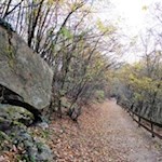 Im sanften Anstieg zur Haselburg