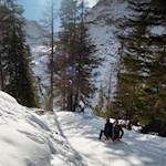 Auf flotten Kufen zurück ins Tal