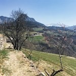 Im Hintergrund ragen der Tschafon und die Hammerwand in die Höhe