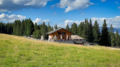 Malga Lieg Alm Val d'Ega