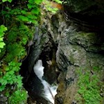 In unmittelbarer Kaskadennähe wachsen nur Moose, Farne und Algen