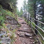 Im steten Anstieg durch den Wald