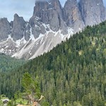 Am Naturerlebnisweg Zans kommt man Hirschen und Rehen ganz nahe