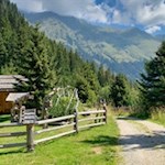 Der Rückweg von der Stadlalm erfolgt auf dem Hinweg