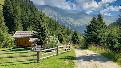 Der Rückweg von der Stadlalm erfolgt auf dem Hinweg