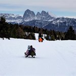 Rodelabfahrt-vor-der-bezaubernden-Kulisse-der-Dolomiten