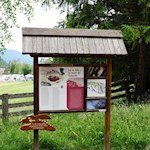 Kindgerecht gestaltete Stationen lassen die Wanderer in die sagenhafte Welt des Fanesreiches eintauchen