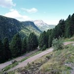 In zahlreichen Serpentinen windet sich der Weg zur Getrumalm