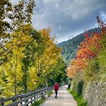 Wandern mit Hund auf dem Panoramaweg Welschnofen