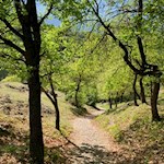 Im sanften Anstieg führt die Wanderung auf den Burghügel Castelfeder